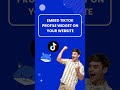 How to Embed a TikTok Profile Widget on Your Website?