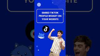 How to Embed a TikTok Profile Widget on Your Website?