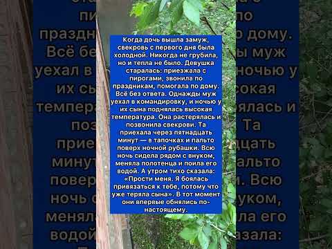 #семья #свекровь #жизнь #отношения #история #душевноеспокойствие #шортс