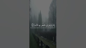 القارئ اسلام صبحي🌿 سورة ابراهيم (اللهم أنصر اخواننا في فيلسطين)