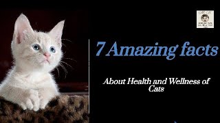 7 Amazing facts about cats' Health and Wellness by Cute Cat 547 views 2 years ago 2 minutes, 29 seconds