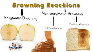 Browning Reactions in Food