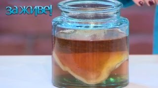 Чайные, рисовые и молочные грибы: как помогут здоровью? – За живе! Сезон 4. Выпуск 32 от 20.04.17 Чайные, рисовые и молочные грибы: как помогут здоровью? – За живе! Сезон 4. Выпуск 32 от 20.04.17