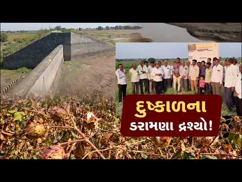 જૂનાગઢના ભેંસાણમાં પાણીની વિકટ અછત, ગળથ ડેમ ખાલીખમ થતાં ખેડૂતોના પાક પર સંકટ