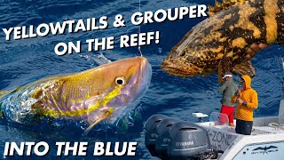 Reef Fishing Out Of Hawks Cay | Into The Blue