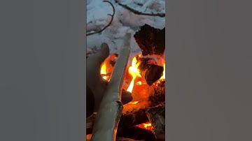 Bow making made simple! (Full Tutorial Below) #survival #archery #hunting #bushcraft