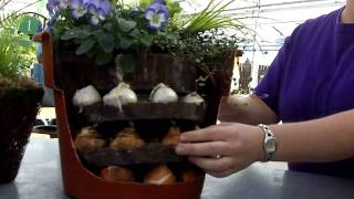 Planting Tips for Bulbs in a Container