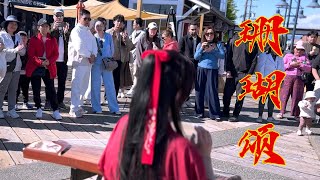 GuzhengShan Hu Song (珊瑚颂) | 经典老歌Classic Chinese Red Song