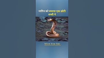 नागिन को बचाया एक छोटी बच्ची ने 😱 #nagin #shorts #story