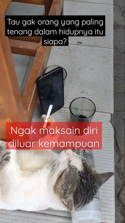 STORY WA TERBARU 30 DETIK #shorts #quotes #storywa