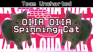 OIIA OIIA Spinning Cat 「Team UNCHARTED」