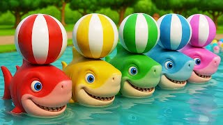 Baby Shark Adventure with Balls | Fun Sing Along Nursery Rhymes for Kids | Tim Time Kids Songs