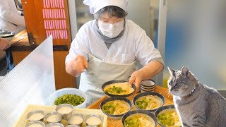 [A cute cat also appears] Grandma's udon shop remembers orders from 1,300 people. 山越うどん 猫