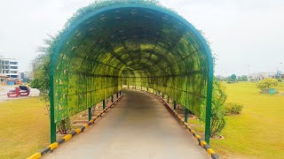 Most Beautiful Tree Walkway through  Tunnel | Best Green Garden Tunnels
