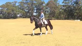 Lotus Park Toy Boi Right Pirouette