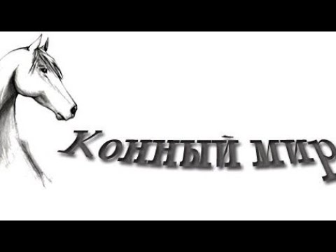 Книжный обзор - лошади и пони полное руководство по уходу