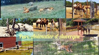 Parc Animalier d'Auvergne - خريجة إلى حديقة الحيوانات بفرنسا 🦁🦒