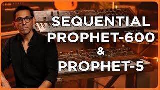 Sequential Prophet 600 vs Prophet 5 Synthesizers | Comparing the Sound
