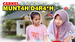 Carnel Munt4H D4R4H