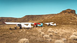 Spring Bush Flying Shenanigans