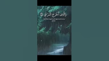 سورة الأعلى.. حالات واتس| آيات قصيرة 🤍