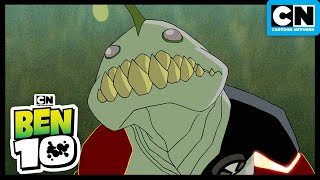 Dr. Animo and the Mutant Ray | Ben 10 Classic | Season 2 | Cartoon Network