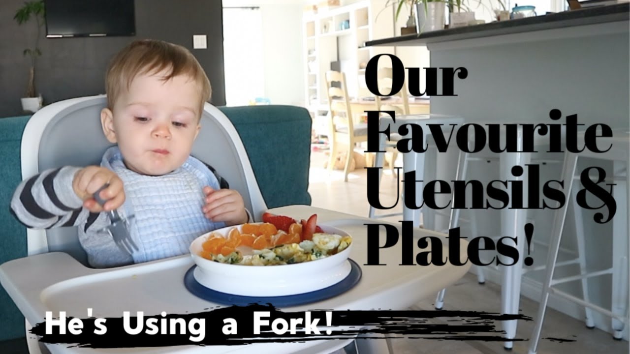 baby led weaning accessories