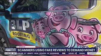Alleged scammers target small business with fake Google reviews