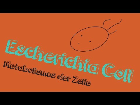 Video: Die Thymol-Toleranz In Escherichia Coli Induziert Morphologische, Metabolische Und Genetische Veränderungen