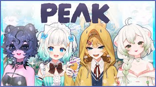 Dokibirdの配信のサムネイル画像