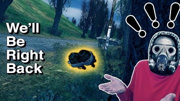 Random Stalker Moments