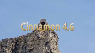 How to install Cinnamon 4.6 on Ubuntu 20.04