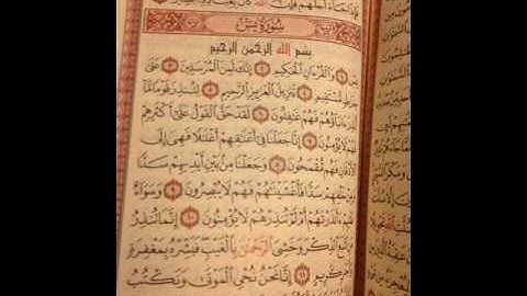 سورة يس - القارئ علي أبو الحسن