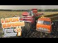 Комбайн Нива Что потрясает воображение бывалого фермера? - ч14 Farming Simulator 19