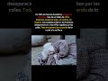 Has visto a mi madre? los niños perdidos de la caída de Alemania #ww2 #guerras #datohistorico