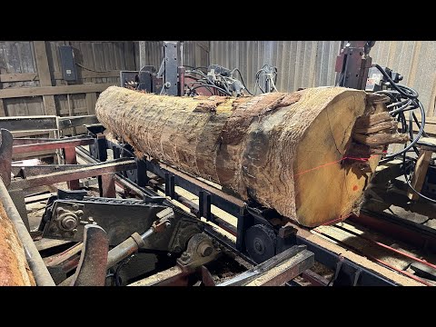 Saw-Milling 5/Quarter Chestnut Oak! #176