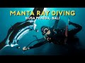 MANTA POINT SCUBA DIVING (The BEST dive site for all levels in Nusa Penida Bali)