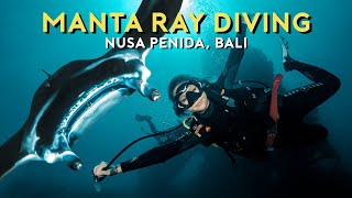 MANTA POINT SCUBA DIVING (The BEST dive site for all levels in Nusa Penida Bali)