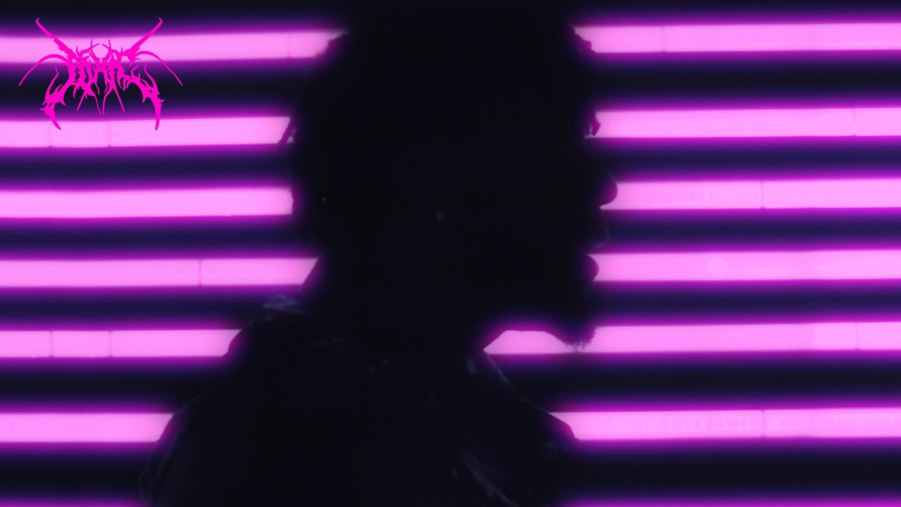 SportVVS - Pink Roses [Dir. by Tycho Burwell]