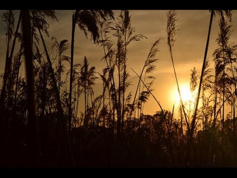 When The Wind Blows - Kevin MacLeod - Royalty Free Music - YouTube
