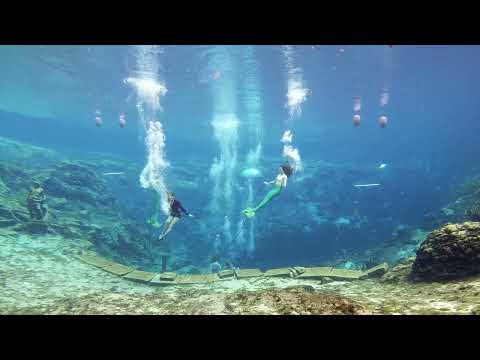 Video: Podívejte Se, Jak Mořské Panny Vystupují Pod Vodou V Weeki Wachee Springs Na Floridě