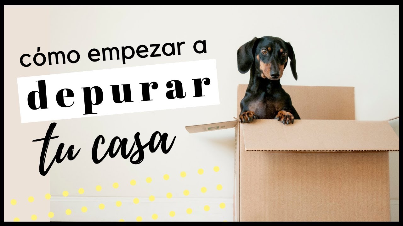 Cómo depurar tu casa y dejar ir lo que no sirve ✨