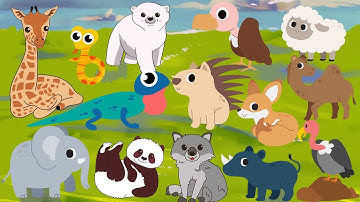 Con gì đây? Bé học nói tên con vật, tiếng kêu các con vật