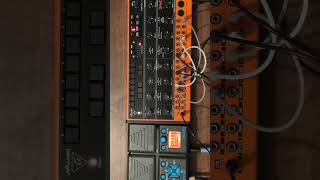 Behringer Crave self generating patch #behringer #behringercrave #dawless