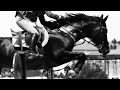 Rose city || equestrian music video