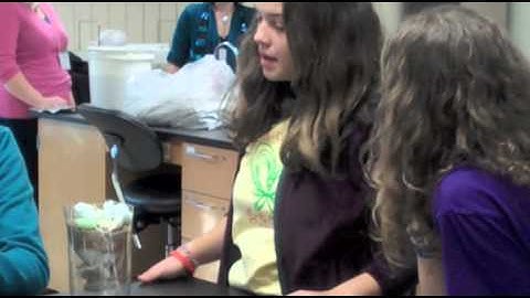 GEMS - Girls, Engineering, Math & Science