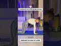 5 Moves to Mobilise Your Spine Fast