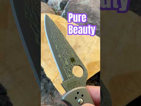 Spyderco September: Day 3️⃣0️⃣ - Endura 4  