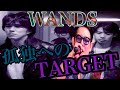 【歌ってみた】孤独へのTARGET/WANDS 〜T-face cover〜