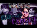 【歌ってみた】孤独へのTARGET/WANDS 〜T-face cover〜